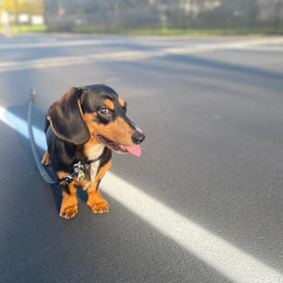 Meet your Posher, Kelly - Picture 1 of 1